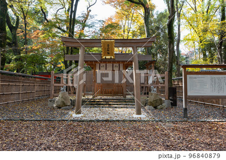 二十二所社と紅葉 二十二所社と紅葉 96840879