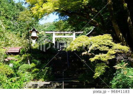 京都 山科 日向大神宮 鳥居と紅葉前の紅葉(秋) 京都 山科 日向大神宮 鳥居と紅葉前の紅葉(秋) 96841183