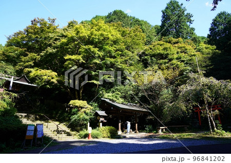 京都　山科　日向大神宮　神田稲荷神社と手水舎（秋） 96841202