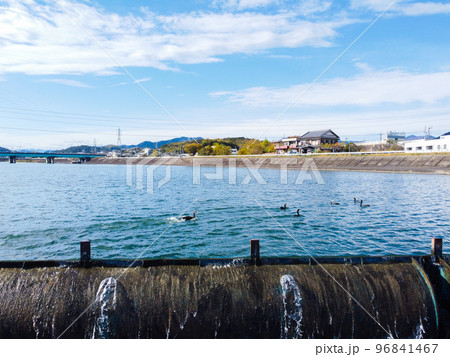 ドローンにて高知市鏡川 96841467