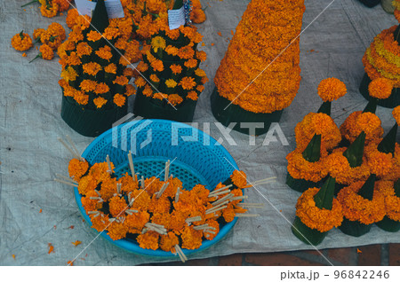 Ton dauk dao heuang or marigold flower trees shaped as stupa or jedi, Buddhist devotional offerings in Luang Prabang, Laos 96842246