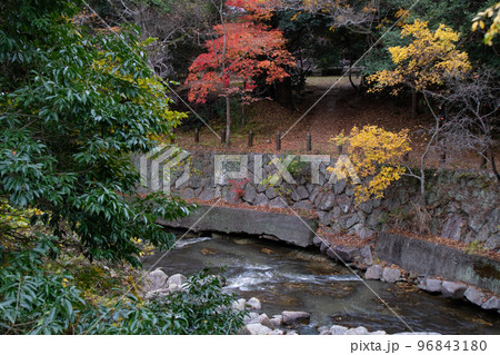 紅葉の神戸・太山寺・奥の院から見た川にかかる紅葉 96843180