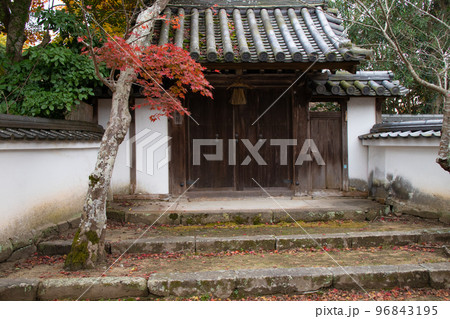 紅葉の神戸・安養院の山門 紅葉の神戸・安養院の山門 96843195