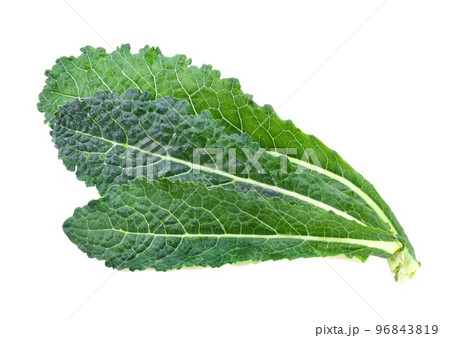 black kale, italian kale, tuscan kale, lacinato, dinosaur on white background 96843819