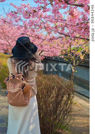 【京都府】3月・淀の河津桜のお花見に訪れた若い女性の観光客 96844346