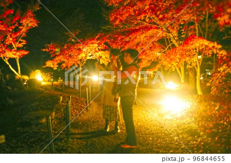 紅葉撮影 紅葉撮影 96844655