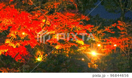 長岡天満宮夜間拝観 長岡天満宮夜間拝観 96844656