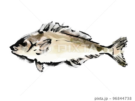 ほっけの手描き和風イラスト素材 96844738