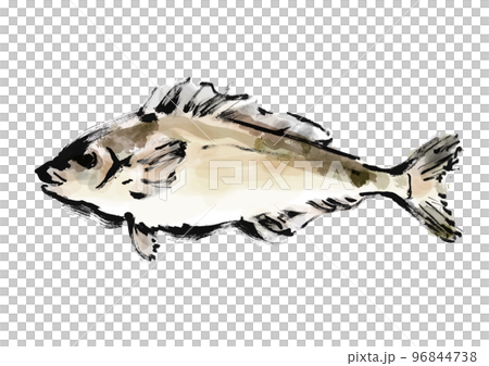 ほっけの手描き和風イラスト素材 96844738