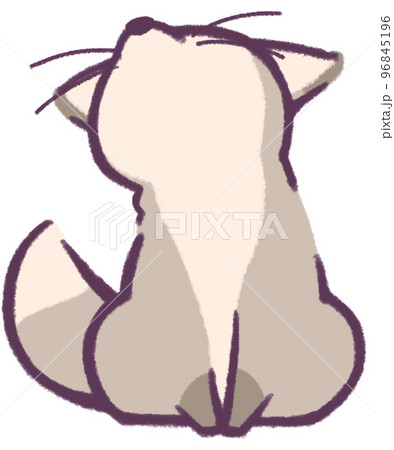 上を見上げる灰色のきつね 96845196