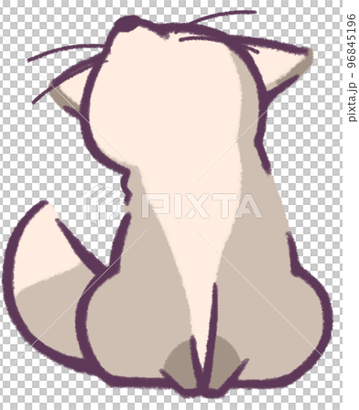 上を見上げる灰色のきつね 96845196