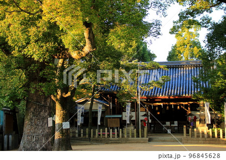 椋橋総社 豊中市 椋橋総社 豊中市 96845628