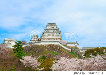 【兵庫県】4月・青空と桜満開の姫路城 【兵庫県】4月・青空と桜満開の姫路城 96845861