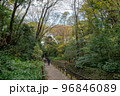 東京都世田谷区等々力渓谷の秋の景色 96846089