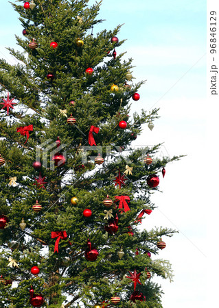 屋外に立っているクリスマスデコレーションされた大きなもみの木。の