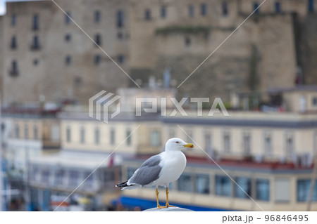 イタリア、ナポリの卵城と海鳥の写真素材 [96846495] - PIXTA