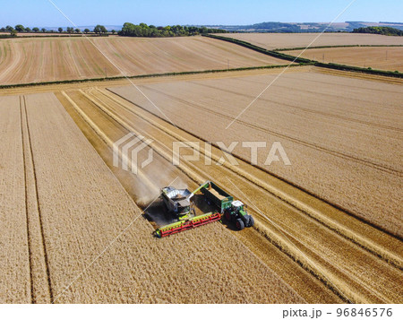 Aerial View - Harvest Time 96846576