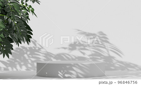 Empty podium Blank product shelf standing backdrop. Empty podium Blank product shelf standing backdrop. 96846756