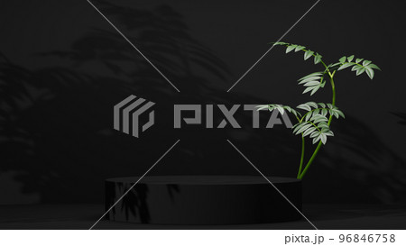 black Empty podium Blank product shelf standing backdrop. 96846758