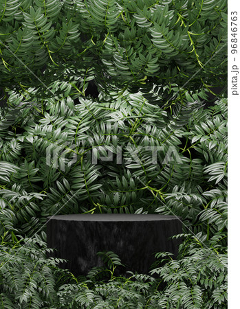 black Empty podium Blank product shelf standing backdrop. black Empty podium Blank product shelf standing backdrop. 96846763