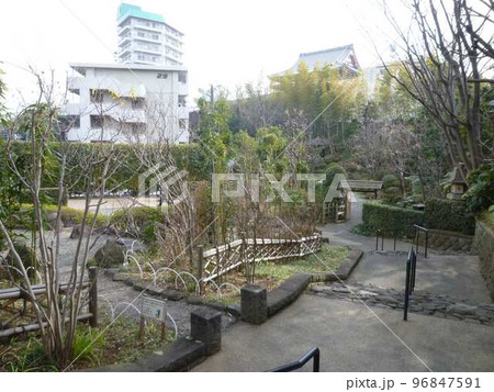 薬師の泉庭園　　（東京都板橋区） 96847591