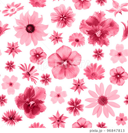 Bright pattern of flowers, as backdrop or texture. Color of the year 2023. Top view Flat lay Bright pattern of flowers, as backdrop or texture. Color of the year 2023. Top view Flat lay 96847813