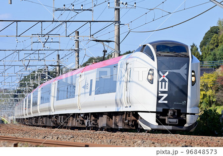 成田線　佐倉ー酒々井　JR東日本　E259系　Ne019編成（鎌倉）　成田エクスプレス　NEX 96848573