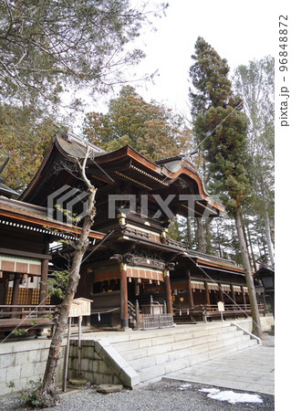 諏訪大社（下社）には本殿がありません。代わりに春宮ではスギの古木を、ご神木としています。 96848872