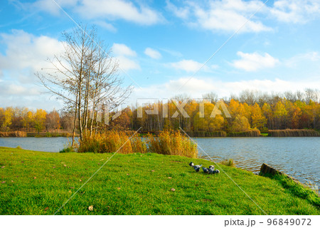Katowice in autumn 96849072