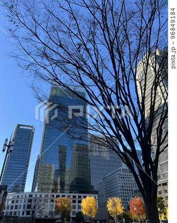 東京：晴れた日の丸の内界隈のビルたち・秋(紅葉)/The buildings in Tokyo 96849184