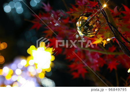 紅葉とクリスマスツリー 96849795