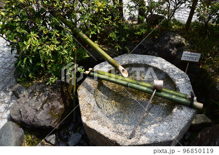 日本の京都府 京都市の寺院 竹で出来た手水舎 日本の京都府 京都市の寺院 竹で出来た手水舎 96850119