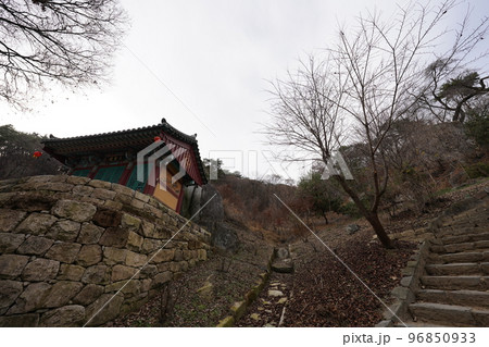 韓国 ソルボン公園の風景(イチョン) 韓国 ソルボン公園の風景(イチョン) 96850933