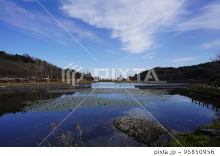 韓国 ソルボン公園の風景(イチョン) 韓国 ソルボン公園の風景(イチョン) 96850956