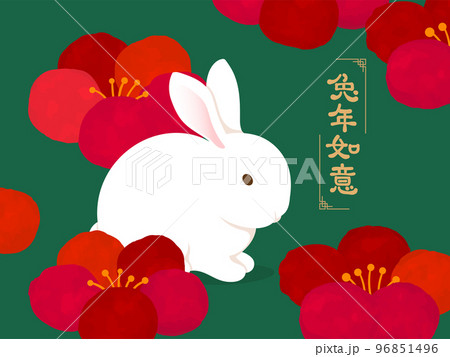 中国語 チャイニーズ 中国人 96851496