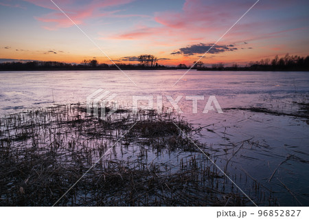 Grass in a frozen lake and a colorful sunset Grass in a frozen lake and a colorful sunset 96852827