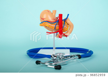 pancreas and stethoscope lies on a blue background pancreas and stethoscope lies on a blue background 96852959