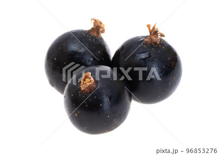blackcurrant isolated 96853276