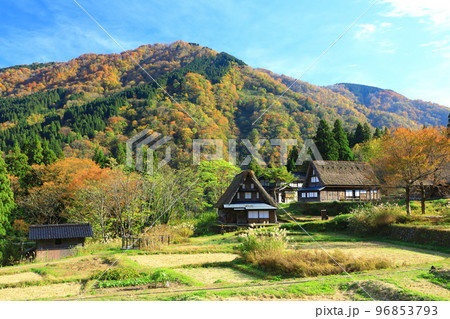 相倉合掌造り集落　紅葉風景 96853793