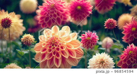 Dahlia flower banquet beautiful spectacular flower arrangement background 96854594
