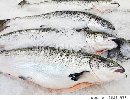 Fresh salmon 96854933