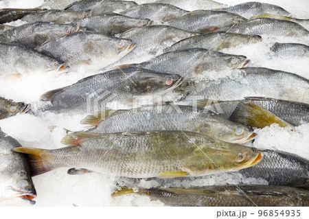 Fresh fish Fresh fish 96854935