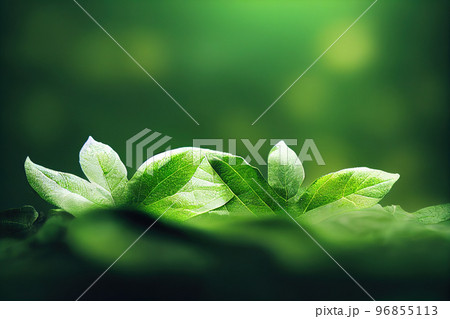 Green leaf background close up view. Nature foliage abstract. Beautifule leave texture. 96855113