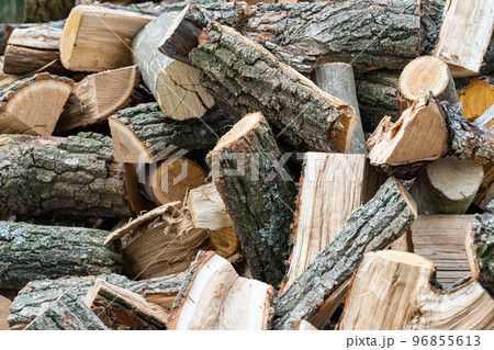 background of chopped oak firewood 96855613