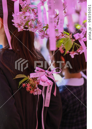 記念写真の女の子の背中　桜神宮　満開の桜 96856061