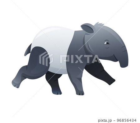 Cute Malayan Tapir Running as Asian Animal with White Patch and Short Nose Trunk Vector Illustration Cute Malayan Tapir Running as Asian Animal with White Patch and Short Nose Trunk Vector Illustration 96856434