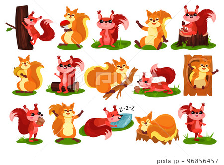 Cute Red Squirrel as Fluffy Forest Creature with Bushy Tail Engaged in Different Activity Big Vector Set Cute Red Squirrel as Fluffy Forest Creature with Bushy Tail Engaged in Different Activity Big Vector Set 96856457