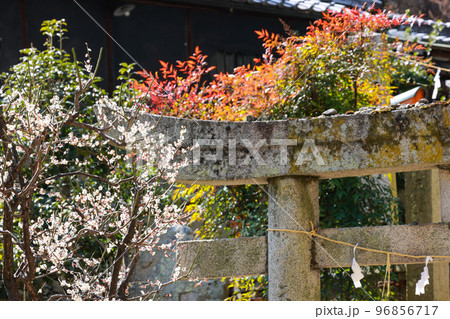 広島観光 尾道 艮うしとら神社 広島観光 尾道 艮うしとら神社 96856717