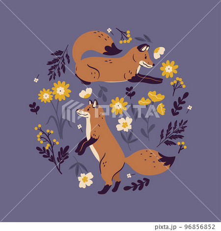 Round composition with foxes and flowers. Vector graphics. Round composition with foxes and flowers. Vector graphics. 96856852