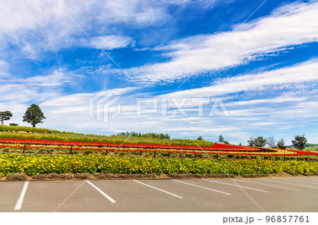 美瑛 (9月　北海道　晴れ) 96857761